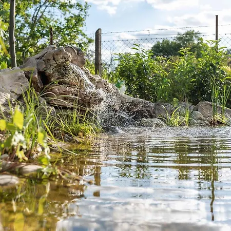 In - Balaton 19020 * Kestel