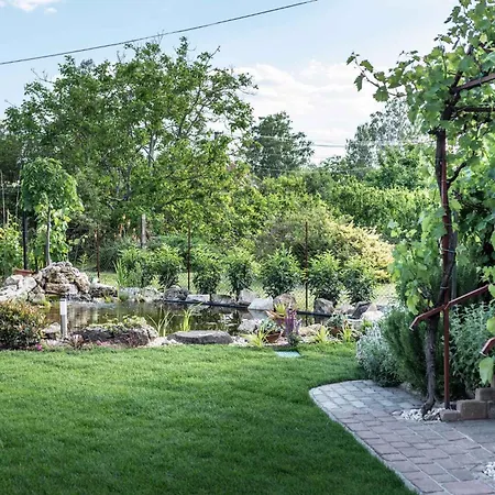 Daire In - Balaton 19020 Kestel